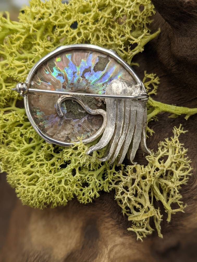 Sterling Silver Ammonite Brooch with Ruby Eye, Fossil Jewelry, in stock and ready to post