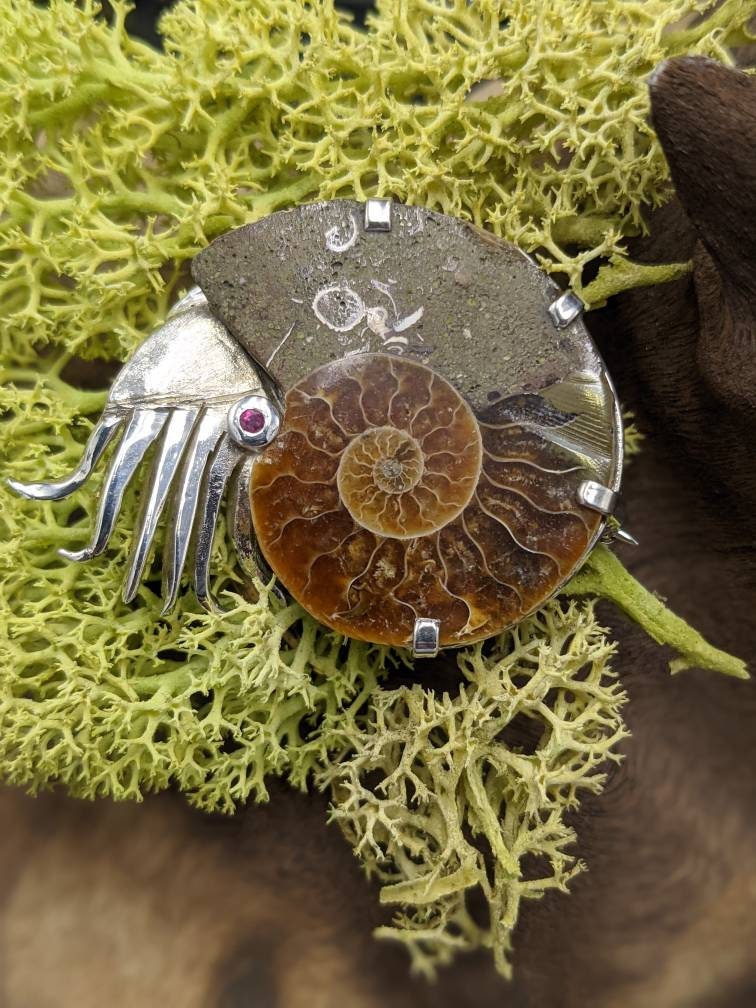 Sterling Silver Ammonite Brooch with Ruby Eye, Fossil Jewelry, in stock and ready to post