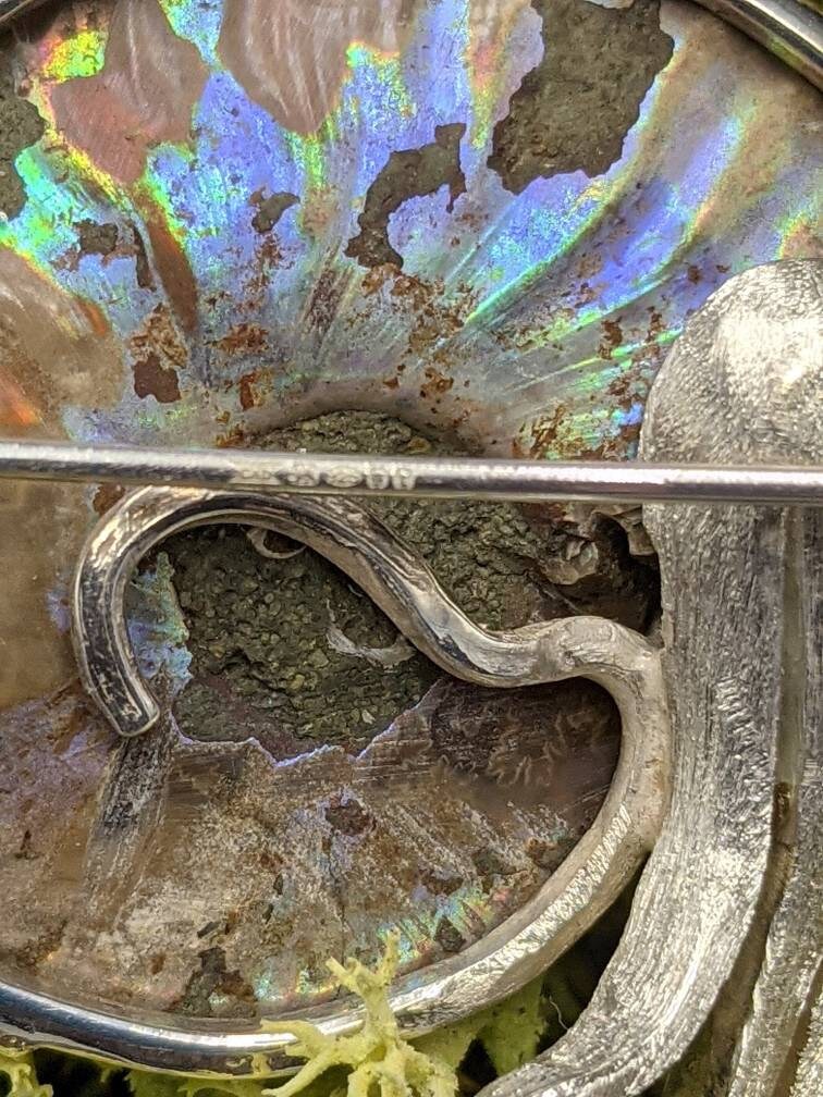 Sterling Silver Ammonite Brooch with Ruby Eye, Fossil Jewelry, in stock and ready to post