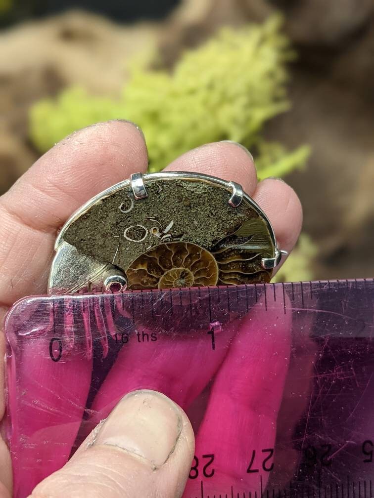 Sterling Silver Ammonite Brooch with Ruby Eye, Fossil Jewelry, in stock and ready to post