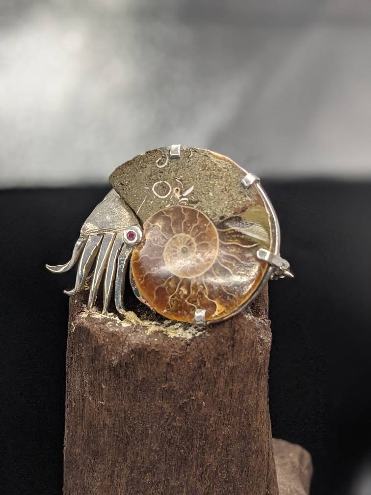 Sterling Silver Ammonite Brooch with Ruby Eye, Fossil Jewelry, in stock and ready to post