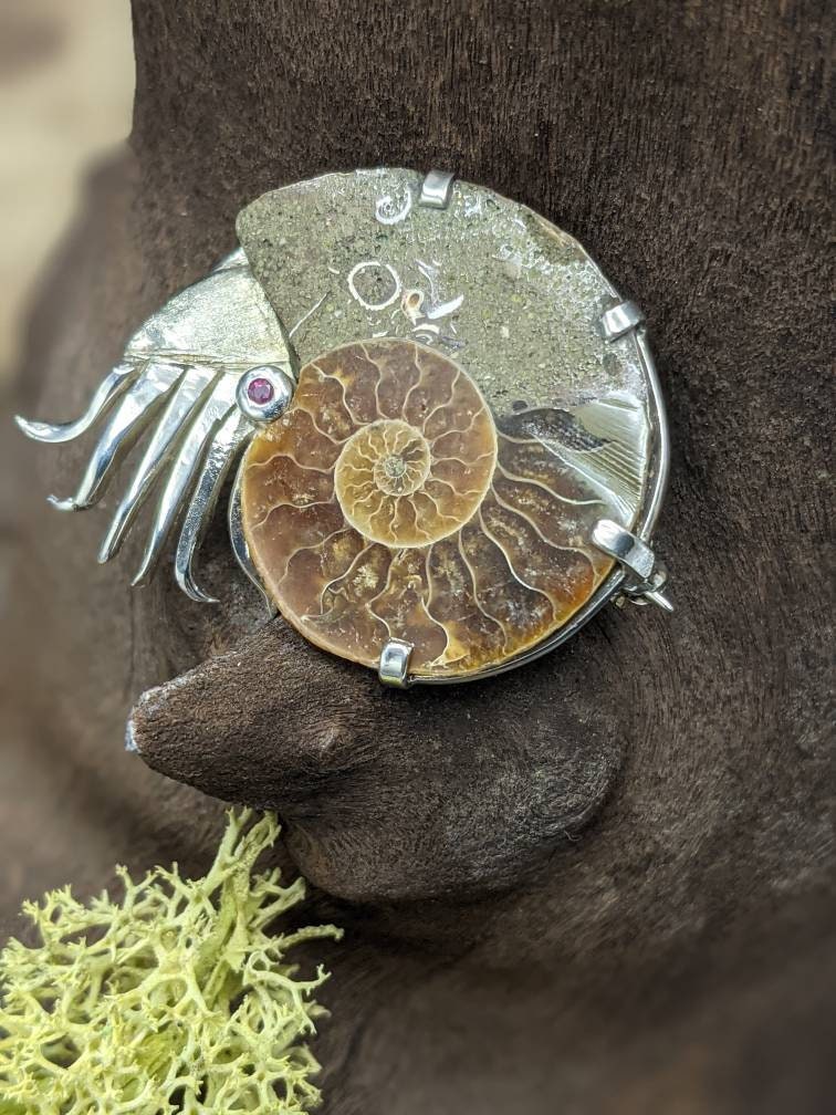 Sterling Silver Ammonite Brooch with Ruby Eye, Fossil Jewelry, in stock and ready to post