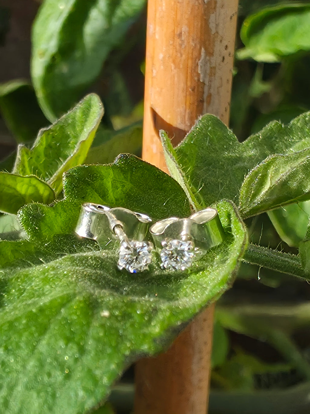 Sterling Silver 2.5mm Lab Grown Diamond Stud Earrings