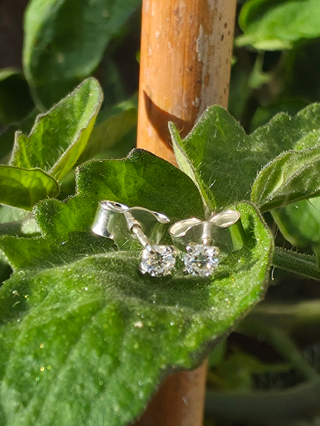 Sterling Silver 2.5mm Lab Grown Diamond Stud Earrings