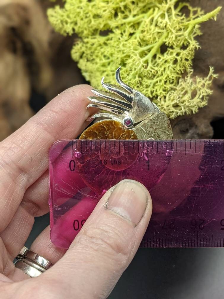 Sterling Silver Ammonite Brooch with Ruby Eye, Fossil Jewelry, in stock and ready to post