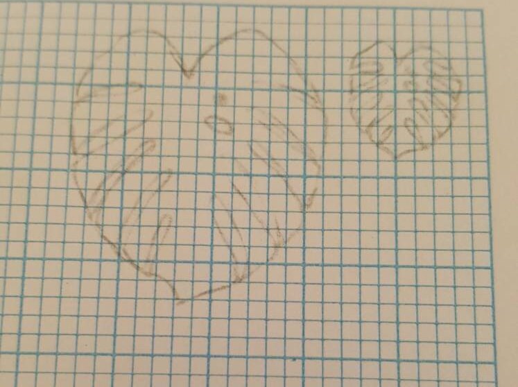 Cheese plant earrings, Mum gift, Mom Gift, Valentines Day, Monstera deliciosa, handmade, designer, nature, leaf earrings, houseplant gift